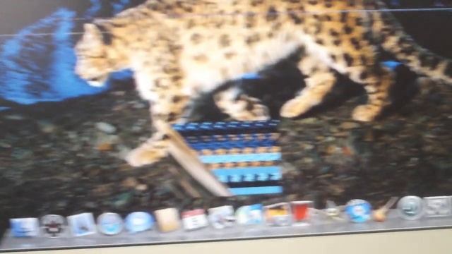 Demo of iMac Graphics Defect (Late 2006 iMac, ATI X1600 GPU) смотреть онлайн