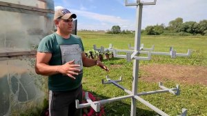 Цветущее Петуниевое дерево своими руками!