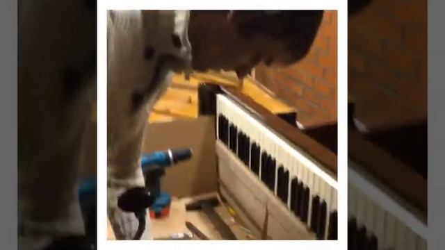 Выкручиваем вирбели. Пианино Petrof смотреть онлайн