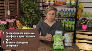 Нехватка микроэлементов у растений и как с этим бороться ? Полезные советы hitsadTV