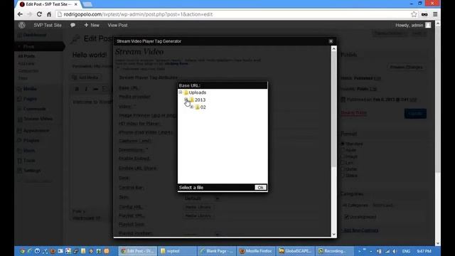 Stream Video Player - Wordpress Plugin смотреть онлайн