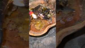 Сжигаем путы, привязки и крадники, возвращаем удачу??❤️и смотрим, кто гадил #NazaretN#чистка