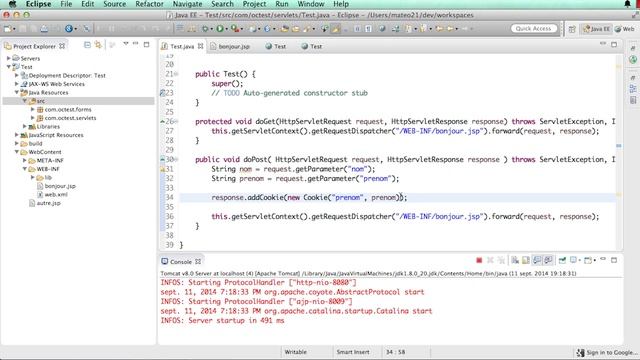 Développez des sites web avec Java EE: Stocker des cookies смотреть онлайн