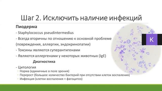 Сверкающие локоны для модных вечеринок