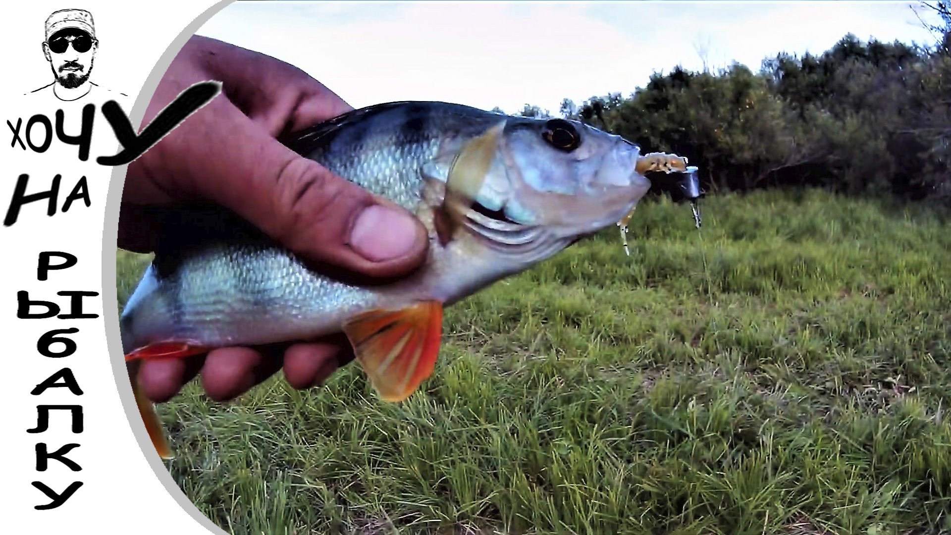 Опять ультралайт спасает рыбалку. Окунь и щука на микро джиг. Новый спиннинг от Smart. 05.09.2019 смотреть онлайн