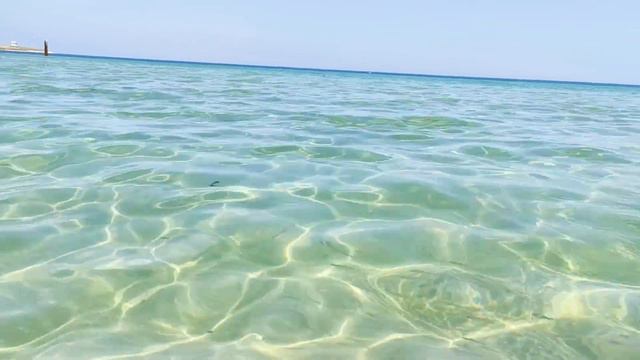 Чистота воды в Черном море в Крыму. Посмотрите на эту игру света! смотреть онлайн