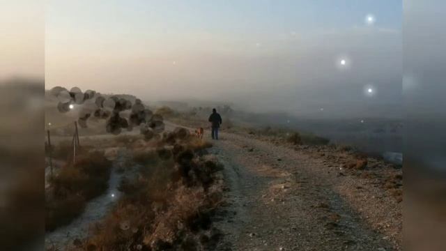 Левитанский Юрий. Каждый выбирает для себя. Стихи смотреть онлайн