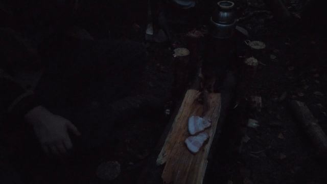 Бушкрафт лагерь - обновили укрытие, костровая яма, огненная посуда, кадры леса. (Перезалив +новость смотреть онлайн