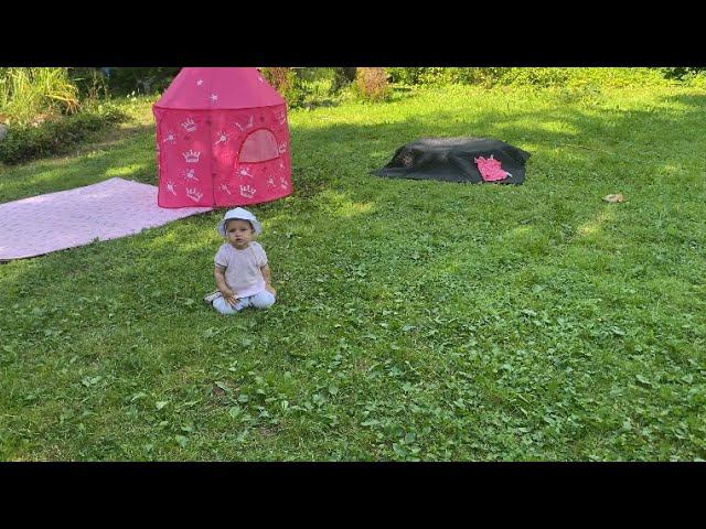 Ребёнок ползает на четвереньках