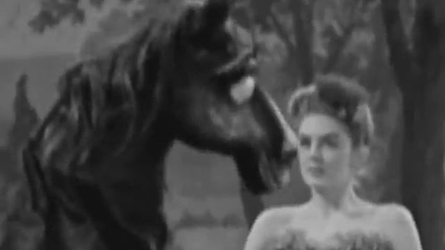 The Drill - The Drill (Official Video)