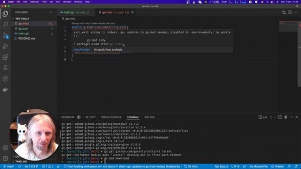 GoLang #170 - как сграбить контент на сайтах (через colly)