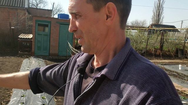 Обработка растений бордоской смесью от болезней весной. смотреть онлайн