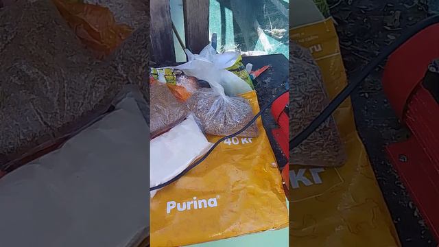 Гормоны и Анаболики для бройлера своими руками. Красное мясо и печень птицы.открываю секрет!!! смотреть онлайн
