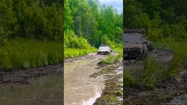 Прохождение болотного участка смотреть онлайн