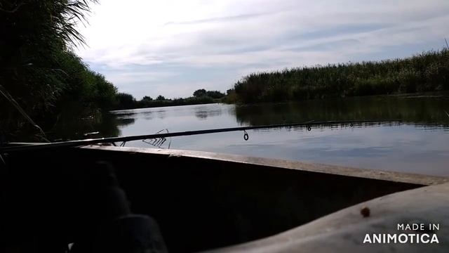 Рыбалка. Калачёвский р. Волгоградская обл. река Карповка. смотреть онлайн