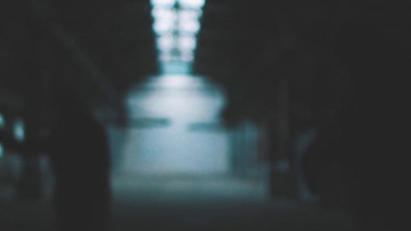 Murovei - #ABRAKADABRA