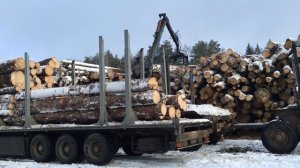 Лесовоз КамАЗ грузит калиброванный лес на длинномер в Калуге