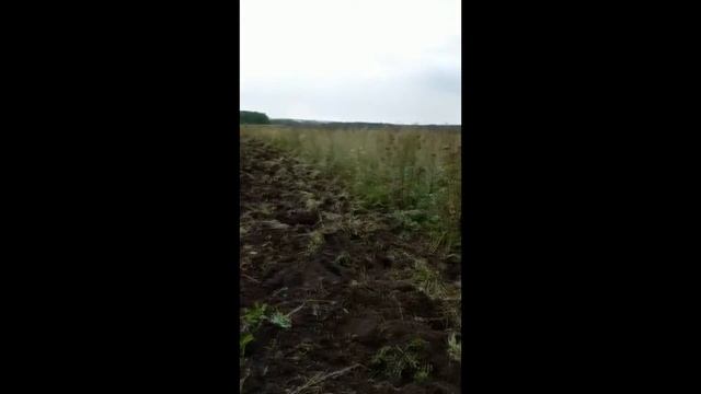 Продаётся тяжёлая мелиоративная борона / дискатор БДН-3.0М смотреть онлайн