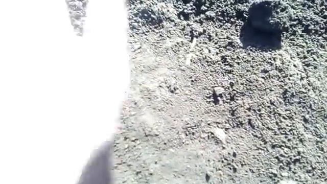 второе боронования утяжеленной сцепкой смотреть онлайн