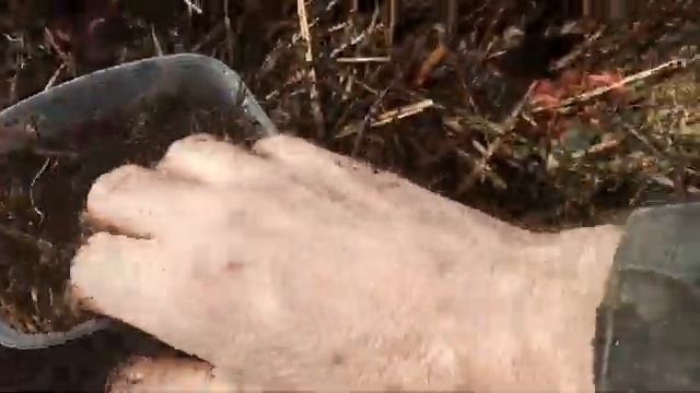 Хлор,черви и подура смотреть онлайн