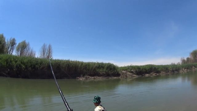 Каратал, Бешеный клев САЗАНА ,Гости с Алматы смотреть онлайн