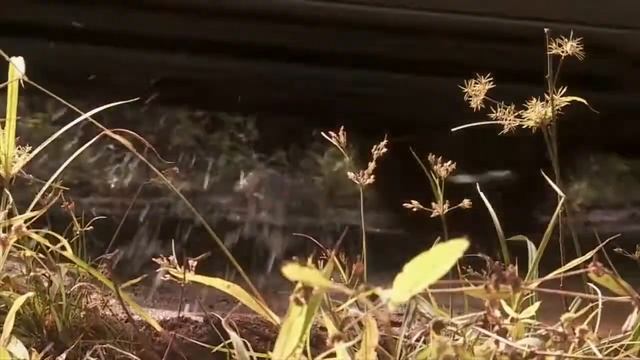 CORDIANT All Terrain