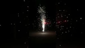 С детьми маленький салют запускали с замедленной съемкой.