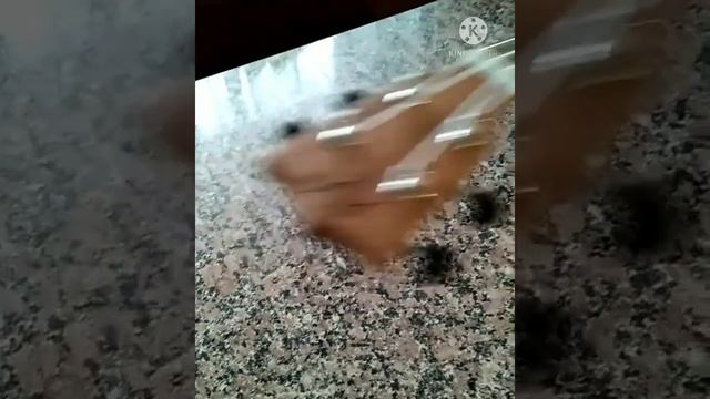 Мини-гитара Укулеле #волгоградская_область смотреть онлайн