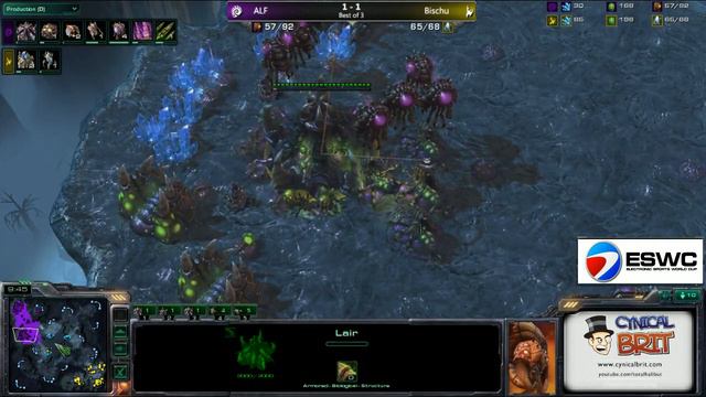 ALF (Z) V Bischu (P) - ESWC day 1 смотреть онлайн