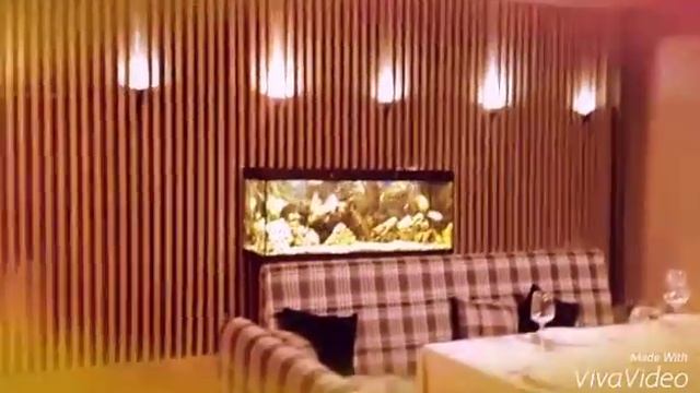 Обзор банкета фабрика домашней еды