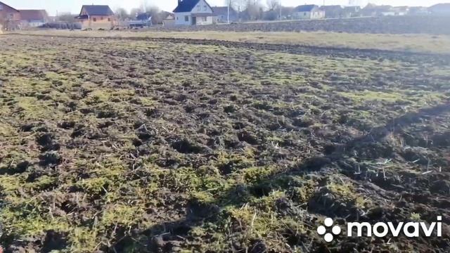 Посадка картофеля мотоблоком WEIMA вейма1050. Весна 2021 смотреть онлайн