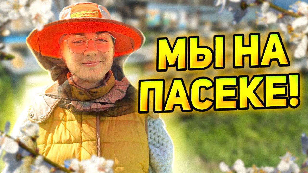 Пасека. Пчеловодство. Рут. Пчёлы. Адыгея. Кавказ.