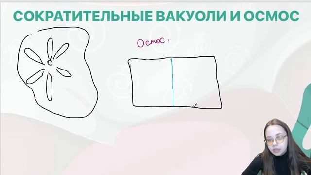 Простейшие | УМНИКУМ | UMNIQUM смотреть онлайн