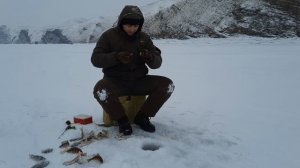Ловля Окуня зимой.