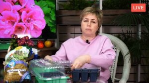 ГЕРАНЬ ? Посев семян герани на рассаду - Мастер класс Хитсад