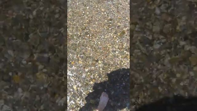 По дороге в Байкадам.Артезианская скважина. смотреть онлайн