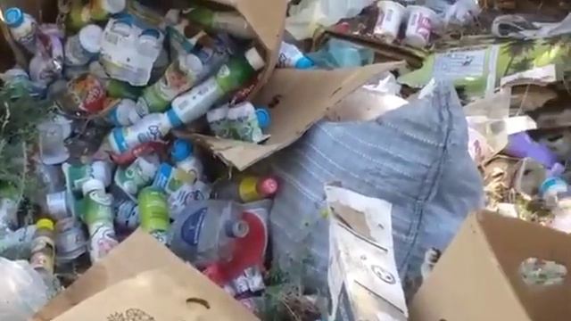 Ящики просроченной молочной продукции нашли у озера под Волгоградом смотреть онлайн