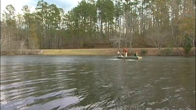 Lime Application: How To Apply Lime