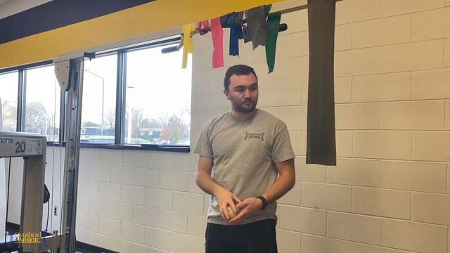 Triceps Tendinosis Exercise And Pathophysiology