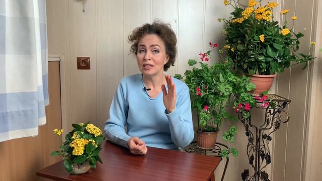 Комнатные Растения ЗИМОЙ смотреть онлайн