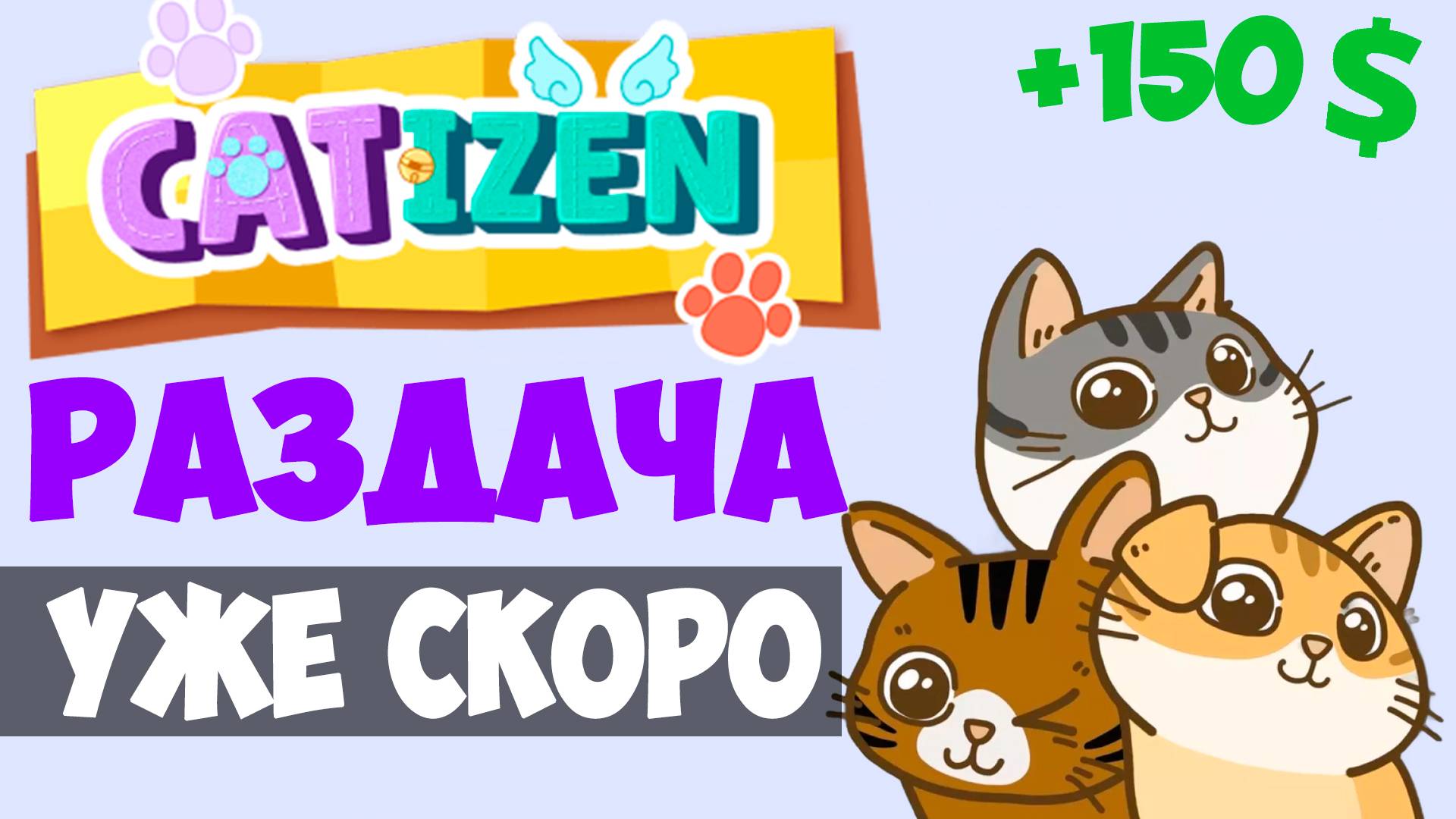 AIRDROP CATIZEN. Сколько можно заработать?