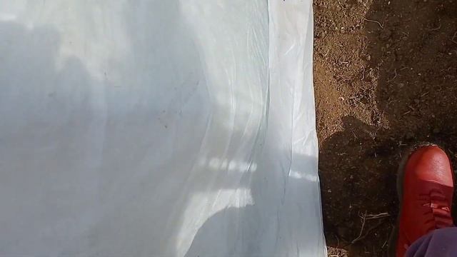 Краснокаменск. Снег, Что с моей рассадой? смотреть онлайн