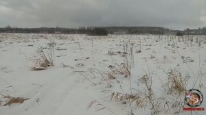 Снегокат Хаски, немного о проходимости