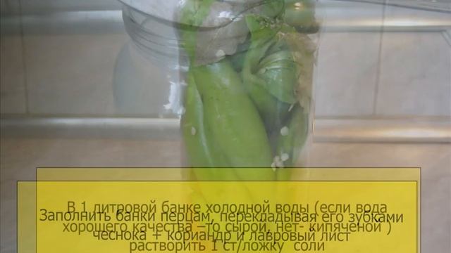 Квашенный (моченный) острый перец – цицак на зиму. смотреть онлайн