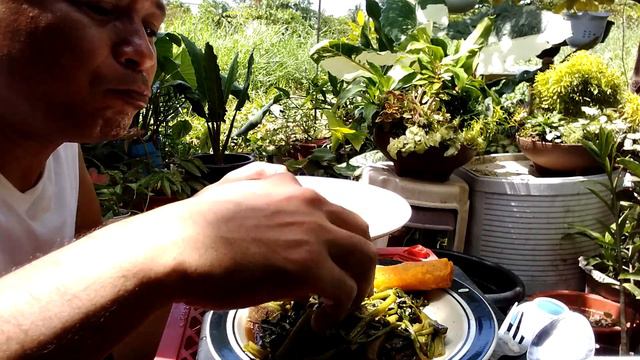 "MUK eat BANG ADOBONG KANGKONG" NATIVE PINOY SWAMPY CABBAGE RECIPE смотреть онлайн