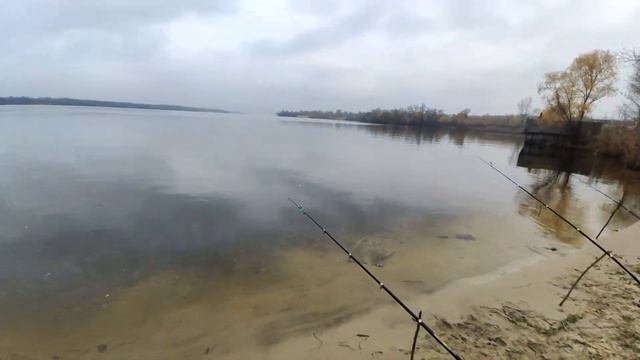 Рыба На Ходу