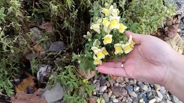 у вас уже зима? А у нас лето??☀ смотреть онлайн