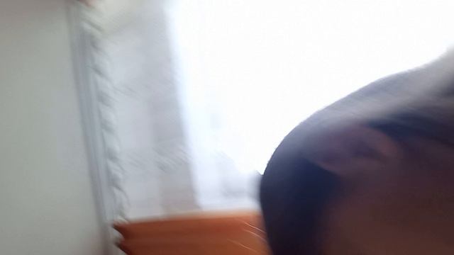 1000016733.mpш смотреть онлайн