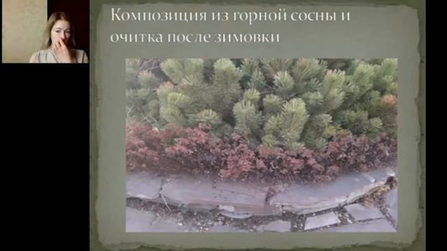 Вывод многолетников из зимы. Фрагмент Мастер-класса. Зеленская Анна смотреть онлайн