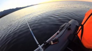 Байкал Рыбалка на Омуля на подергуху(на халяву)))с эхолотом Deeper smart sonar pro